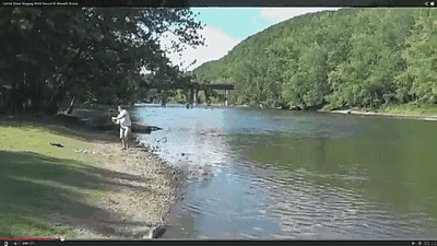 只需要有一, https, 和相持阶段